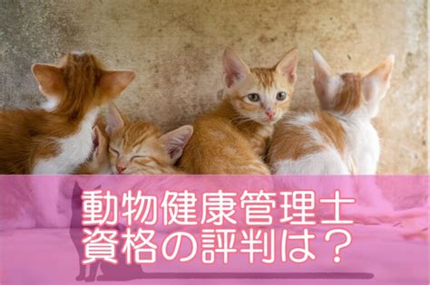 永松動物病院でペットの健康管理を徹底