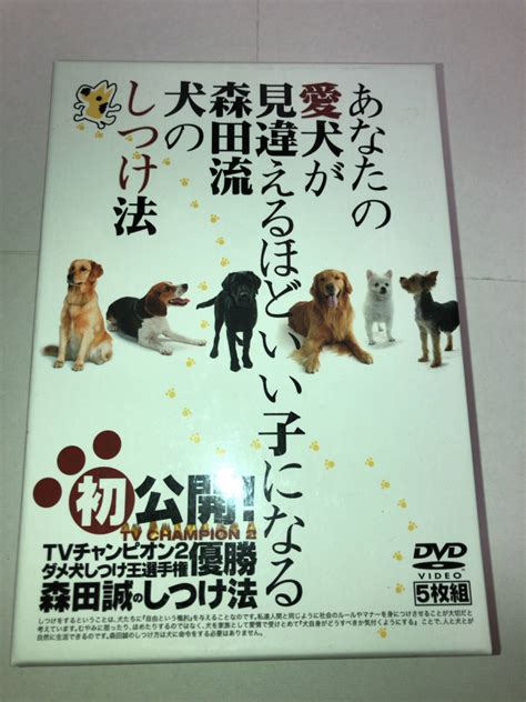 永野どうぶつ病院であなたの愛犬が受けることのできる愛情のこもったケア