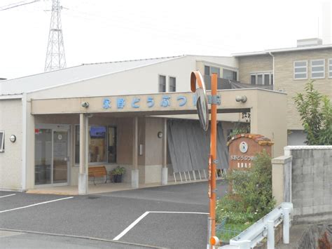 永野 どうぶつ 病院