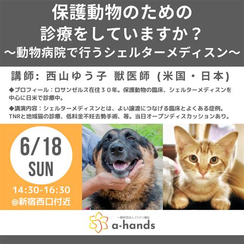 江別で夜間診療を行う動物病院の徹底比較