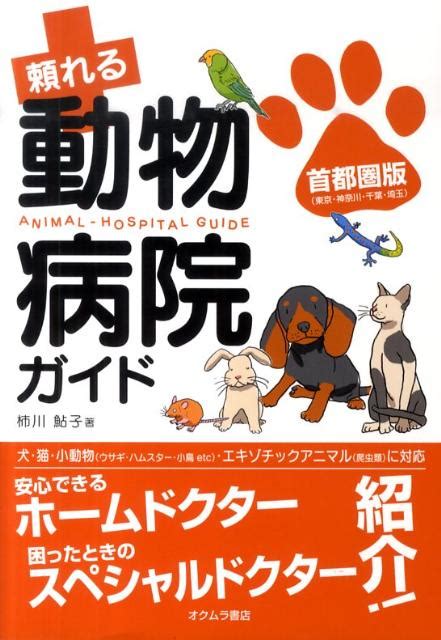 江別の頼れる夜間動物病院ガイド