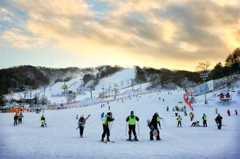 江原道滑雪場