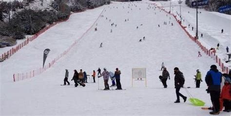 江原道龍平滑雪場：