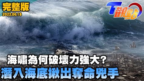 沉迷狗糧危機：影響範圍、症狀和解決之道