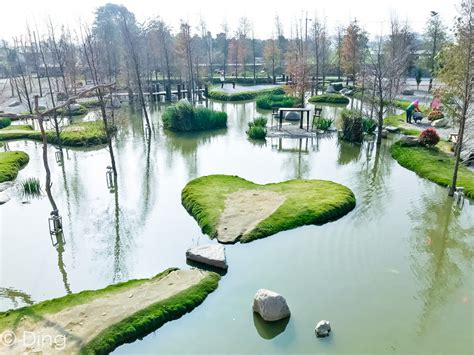 沉香 味道 森林 館