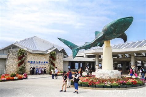 沖繩美麗海水族館展望台：探索海洋奇觀