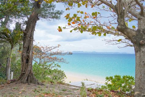 沖繩自駕：蔚藍海洋與絕美景緻的公路之旅