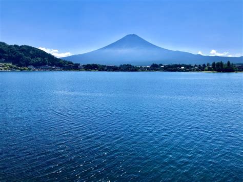 河口湖総合公園で自然を満喫する究極のガイド