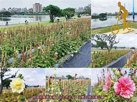 河濱公園新亮點，迎豐河畔風光無限