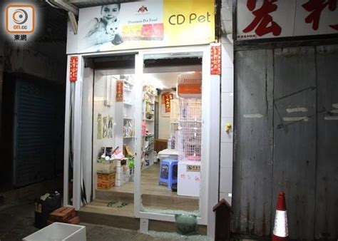 油塘寵物店攻略指南