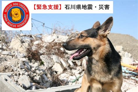 法務執行機関または災害救助隊が使用する犬