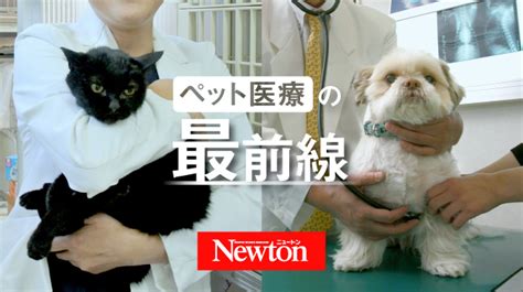 法蓮ペットクリニック: 安心で信頼できるペット医療の最前線