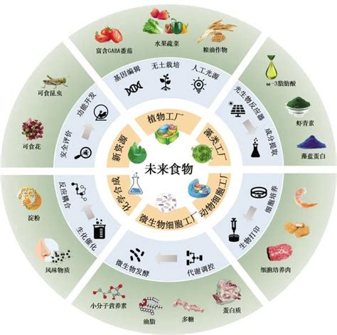 泥狀化：食物科技的未來趨勢