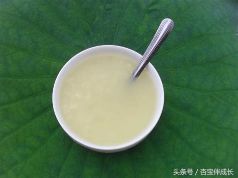 泥狀物：食材料理的萬能基礎