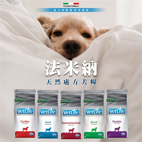 泰加犬糧：北極犬隻的營養聖品