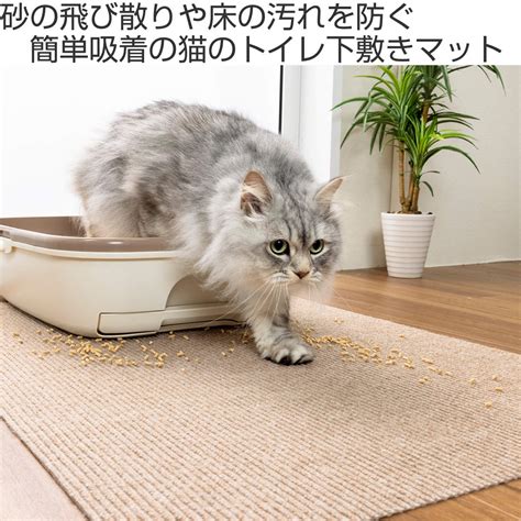 洗える猫砂で衛生的な猫トイレ空間へ！