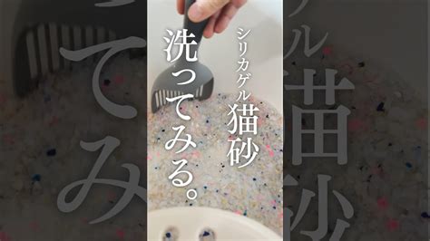 洗って繰り返し使える猫砂のすべて