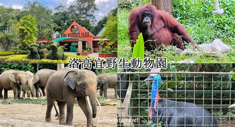 洛卡宜野性動物園