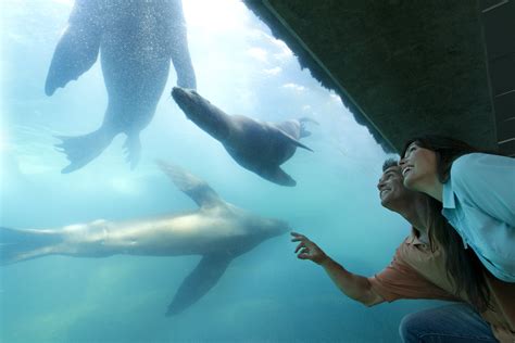 洛杉磯水族館