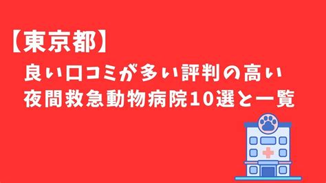 浦河町で評判の高い動物病院ガイド