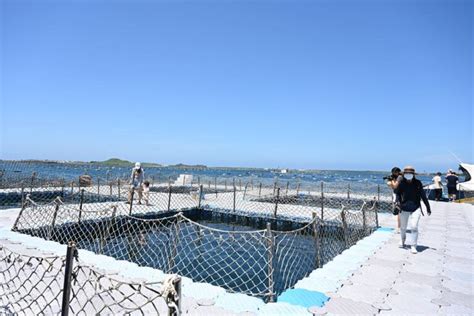 海上牧場 澎湖打造海洋永續新地標