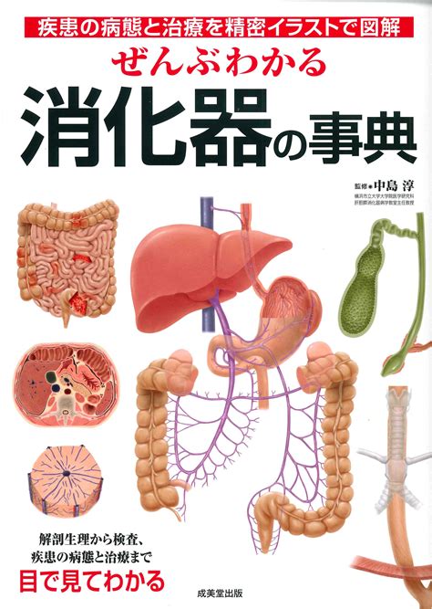 消化器の健康: