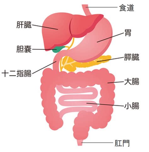 消化器系の出血：