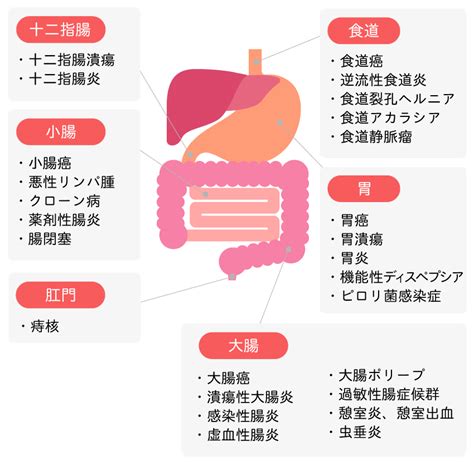 消化器系疾患：