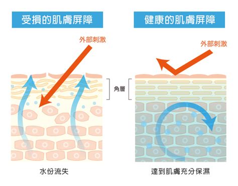 消毒劑：守護健康的無形屏障