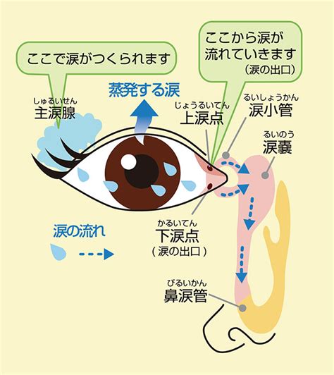 涙が過剰に分泌