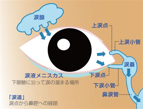 涙の産生過剰