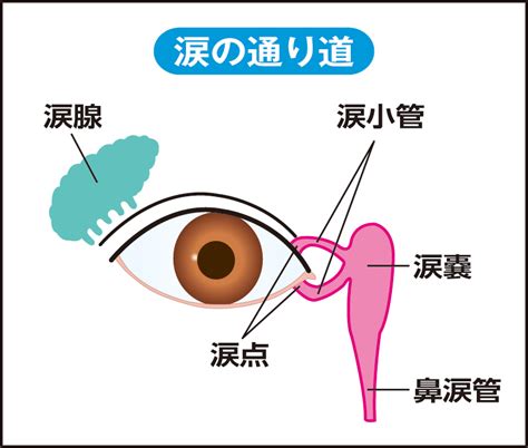 涙道の閉塞: