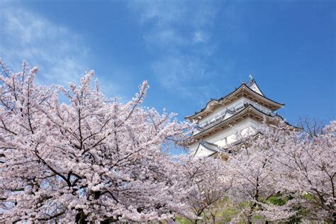 深入探索小田原城址公園，揭開日本封建時代的傳奇故事