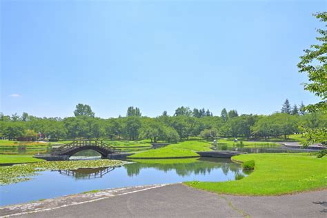 湖畔公園