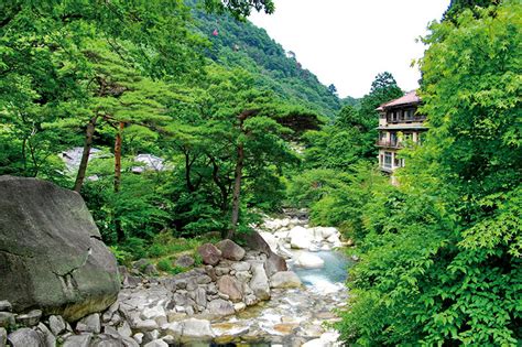 湯の山温泉の魅力を存分に満喫