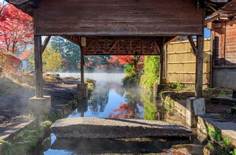 湯布院 吾亦紅の世界: 心癒やしの温泉と自然のハーモニー