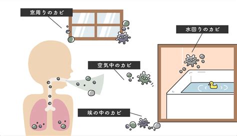 湿気によるカビや細菌の繁殖: