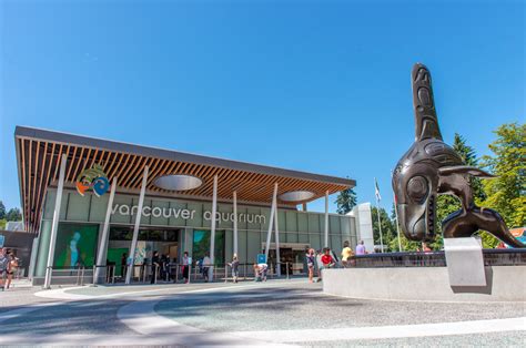 溫哥華水族館：海洋生物的殿堂