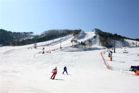 滑向冬日仙境：探索韓國滑雪勝地