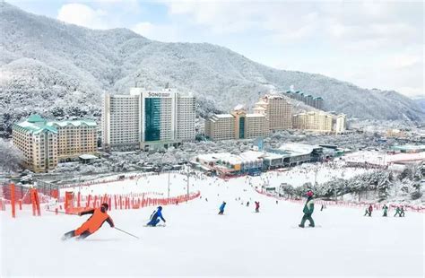 滑進韓國：探索韓國滑雪的非凡體驗