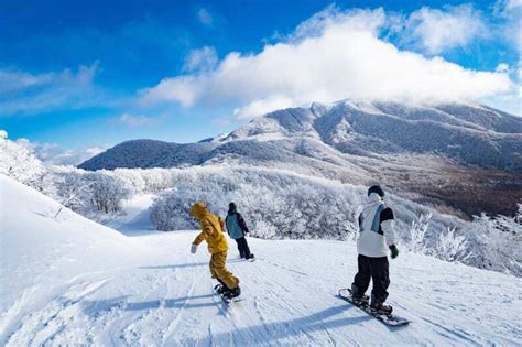 滑雪場種類繁多，滿足不同需求