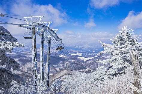 滑雪天堂：韓國的冬季仙境