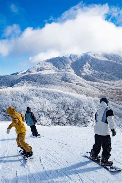 滑雪行程