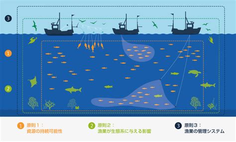 漁獲量の持続可能な管理: