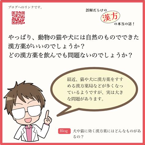 漢方薬が犬に与えるメリット