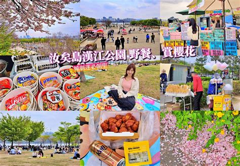 漢江公園野餐提案：10,000 字終極指南