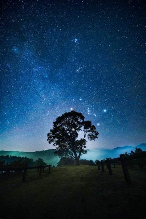 澄み渡る海と満天の星空