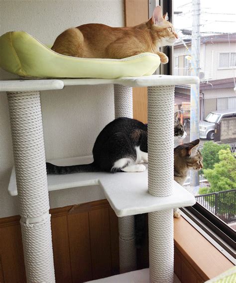 激安キャットタワーで愛猫の快適性と飼い主の懐事情を守る