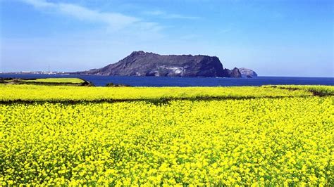 濟州島，天然保養之寶庫