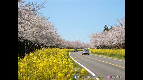 濟州 9 月賞花 10 大必訪景點